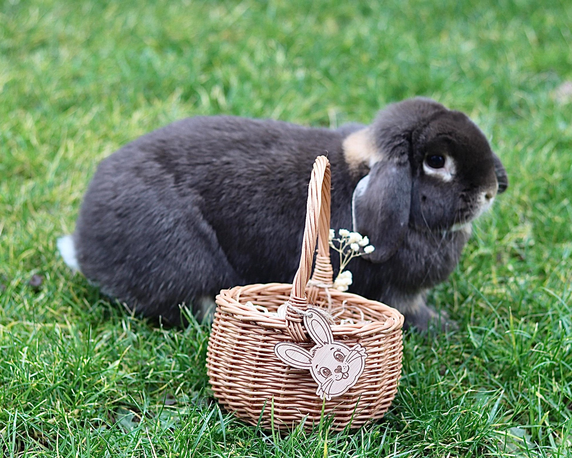 Personalisiertes Osterkörbchen aus Weide | Osterkorb Kind | Hasen Anhänger aus Holz | Ostergeschenk | Osterdeko natur