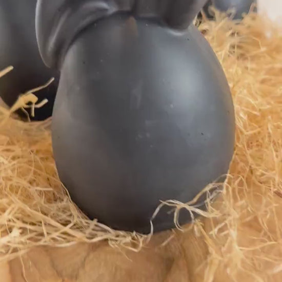 Osterei mit Hasenohren Osterdeko Geschenk Raysin Osterdeko Eierhase Ostergeschenk